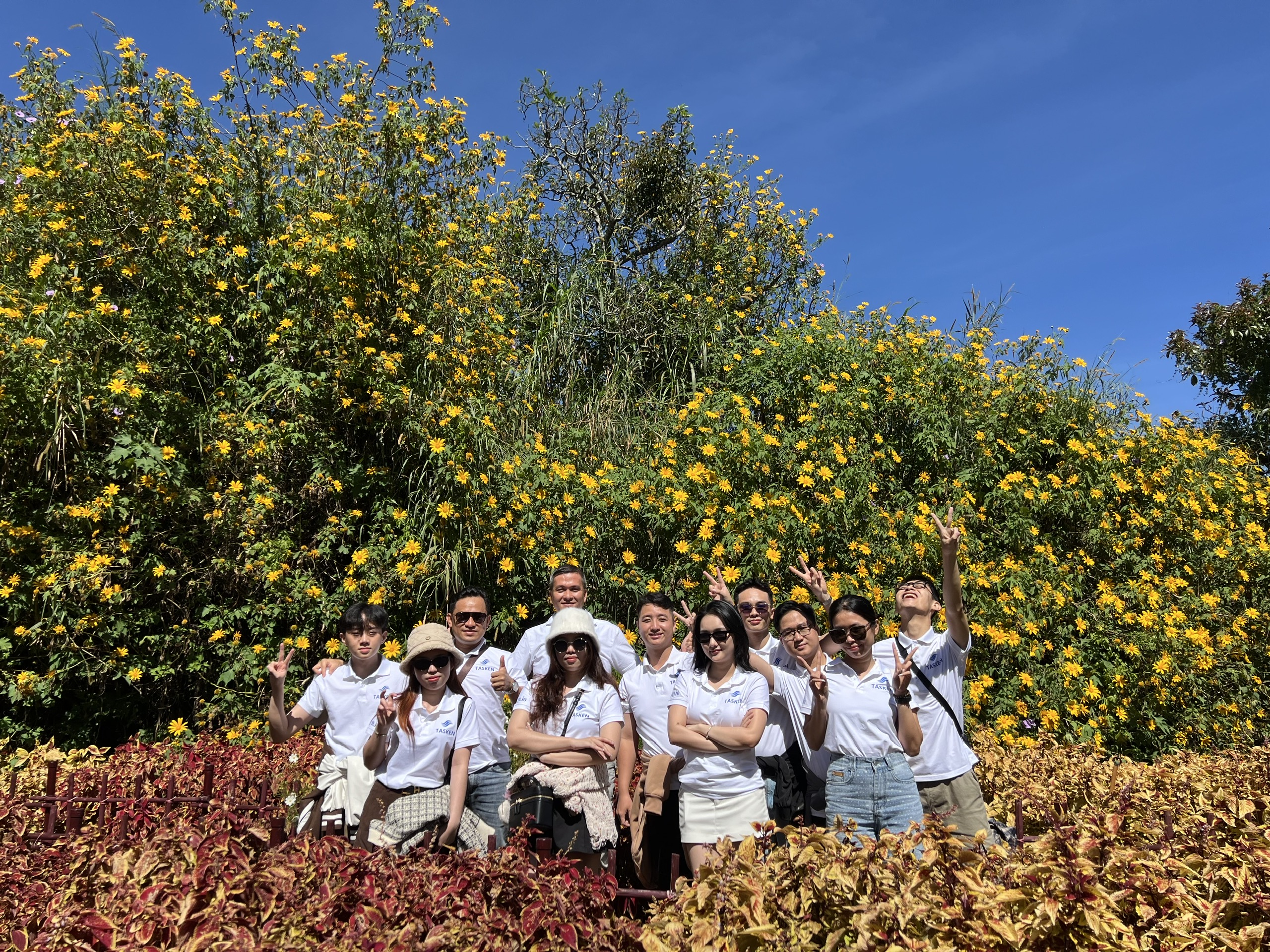 OPUS SOLUTION COMPANY LIMITED image 36439